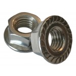 Stainless Flange Nuts